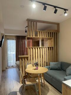 Bakuriani apartment - Bakuriani - 1