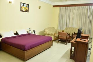 Hotel Park Inn - Parwanoo - 9