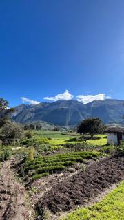 Santa Cruz Eco Lodge - 5