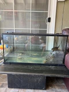 Pool Front Romantic Getaway withPrivate Entry - 1