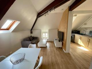 Appartement T2 Centre Ville GS3 - Châteauroux - 1