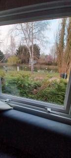Mobilhomes Cozy 2 ou 3 chambres en bordure d'étang Camping 3 étoiles - Ivry-la-Bataille - 5