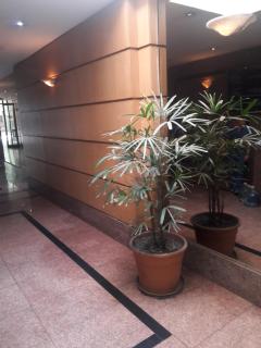Apartmdz - Mendoza - 0