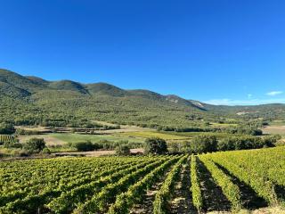 Le Grand Hermas - Saint-Martin-de-Castillon - 7