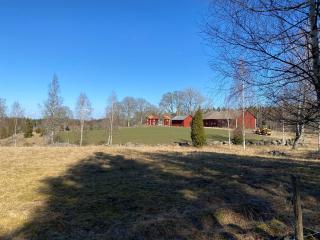 Hjortkullen - Vimmerby - 7