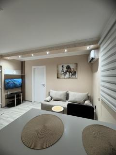 Georgeous lux apartment # 2 - Foča - 8