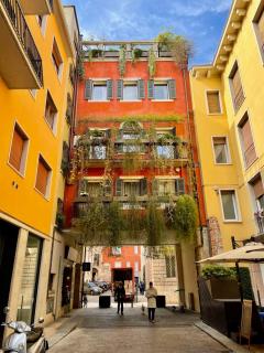 Domus Pellicciai - 0