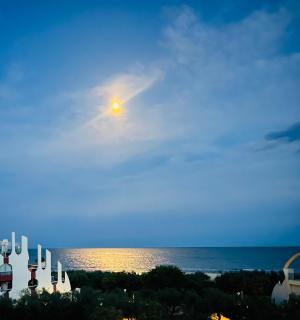 Superbe Terrasse ROOFTOP Vue Mer - 9
