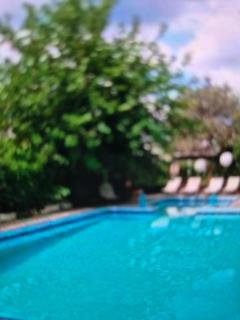 Villa Dolphins - Poros - 8
