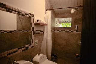 Zeneidas Surf Garden - 8