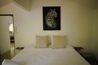 Zeneidas Surf Garden - Santa Teresa Beach - 7