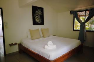 Zeneidas Surf Garden - 3