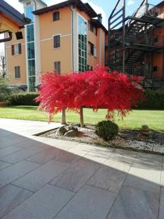 APPARTAMENTO ACERO - 2 min walk to Bernina Express - Tirano - 9