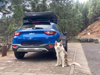 Rooftop tent - Radazul - 9