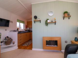 Daffodil Lodge - Ilfracombe - 3