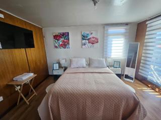 Casa Terra - Puerto Montt - 9
