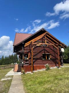 Casa Brindusa - Poiana Negrii - 3