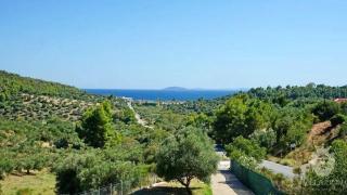 Villa Lion - Nikiti - 8