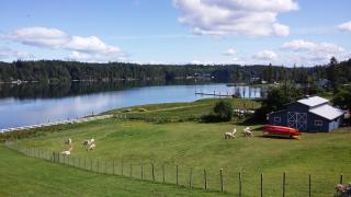 Oceanfront Swiss Home - Shelton - 6