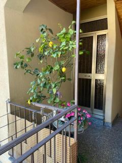 La Chabby del centro - Legnano - 6