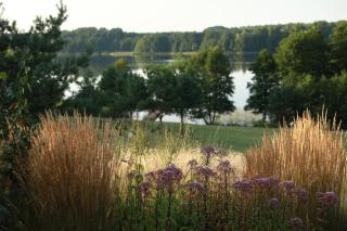 Ežero Sapnas - Dream of the Lake - 3