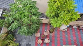 Breeze and Bliss - 5