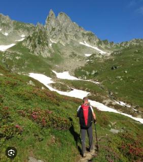 Les racines et les cimes - La Lechere - 9