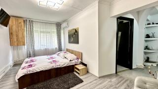 Central Grey Studio Hateg - Haţeg - 1