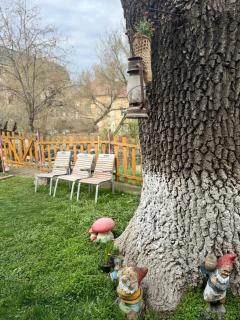 Center garden - Sibiu - 9