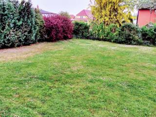 Ferienwohnung Naturblick - Neukalen - 5