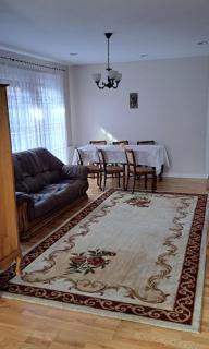 American Style Vacation Home - Valea Seacă - 6