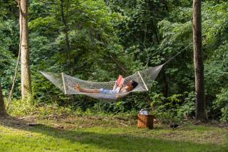 Perch Cottages #11 - Mountain Views, Sauna, Private Creek Access - Boiceville - 4