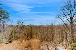 Cinnamon Bear Lodge - Mineral Bluff - 4