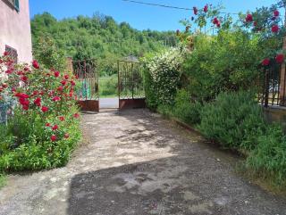 Cottage Wisteria Piemonte - Prasco - 7