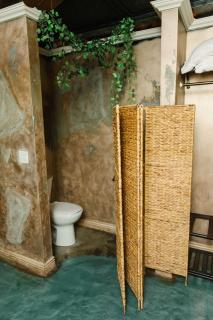 Private Suite AirJet Tub & Waterfall Shower Cove Themed - American Fork - 4