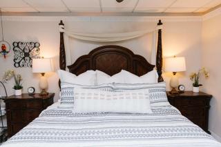 Tropical Jungle Themed Suite with real sand King Bed - American Fork - 8