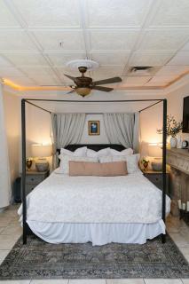Roman Themed Suite Sho2er Massage Jets King Bed - American Fork - 0