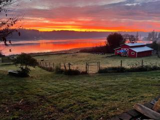 Oceanfront Beach House - Shelton - 1