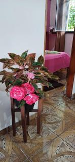 Residencia Moraes 1 - Novo Airão - 5