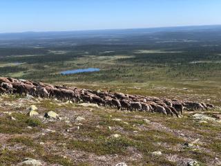 Viihtyisä mökki riekkojen mailla Hetassa - Enontekiö - 3