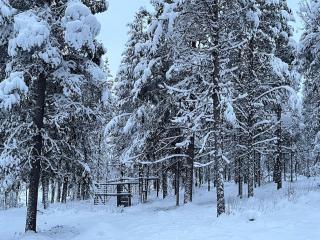 Viihtyisä mökki riekkojen mailla Hetassa - Enontekiö - 8