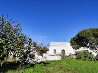 Studio Amêndoa - Estói - 3