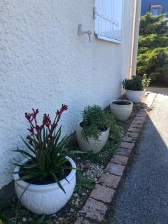 Arzon maisonnette cosy Kerkarin - Arzon - 3
