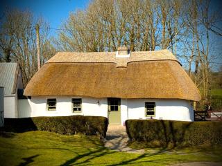 Murphys Thatched Cottage - Mitchelstown - 0