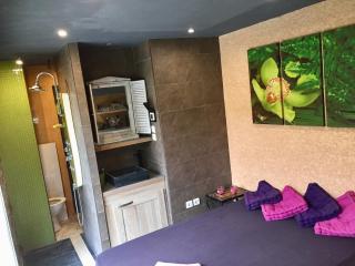 Luxury house - Agde - 2
