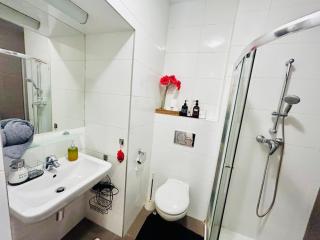 Luxury and cozy apartment Vinohrady Prague - Praga - 4