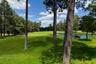 The Pinetop Modern Retreat - Pinetop-Lakeside - 9