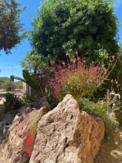 Villa Holiday Home - Porto Pino - 8