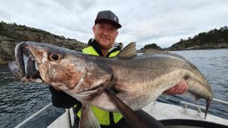 Lauvøy Feriesenter - Askøy - 1