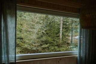 Domki pod Halą Krupową - Tiny House w Lesie - Sidzina - 8